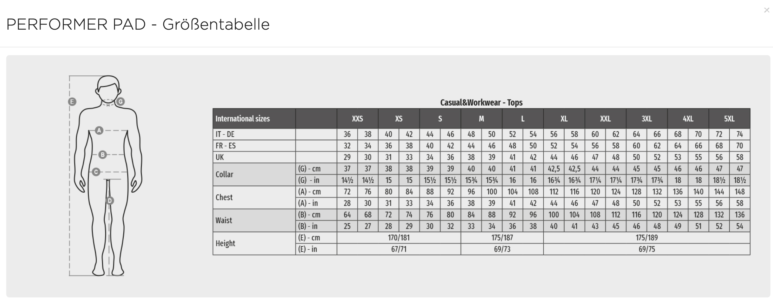 Payper Winter Softshelljacke PERFORMER PAD